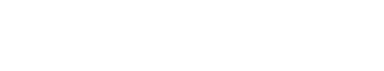 Visitorz Logo
